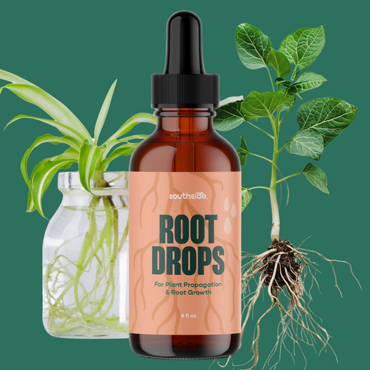 Root Drops - For Propagations & Repotting