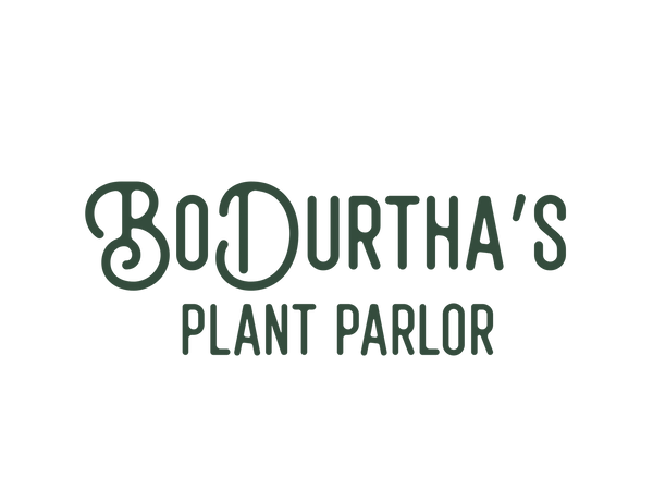 BoDurtha's Plant Parlor