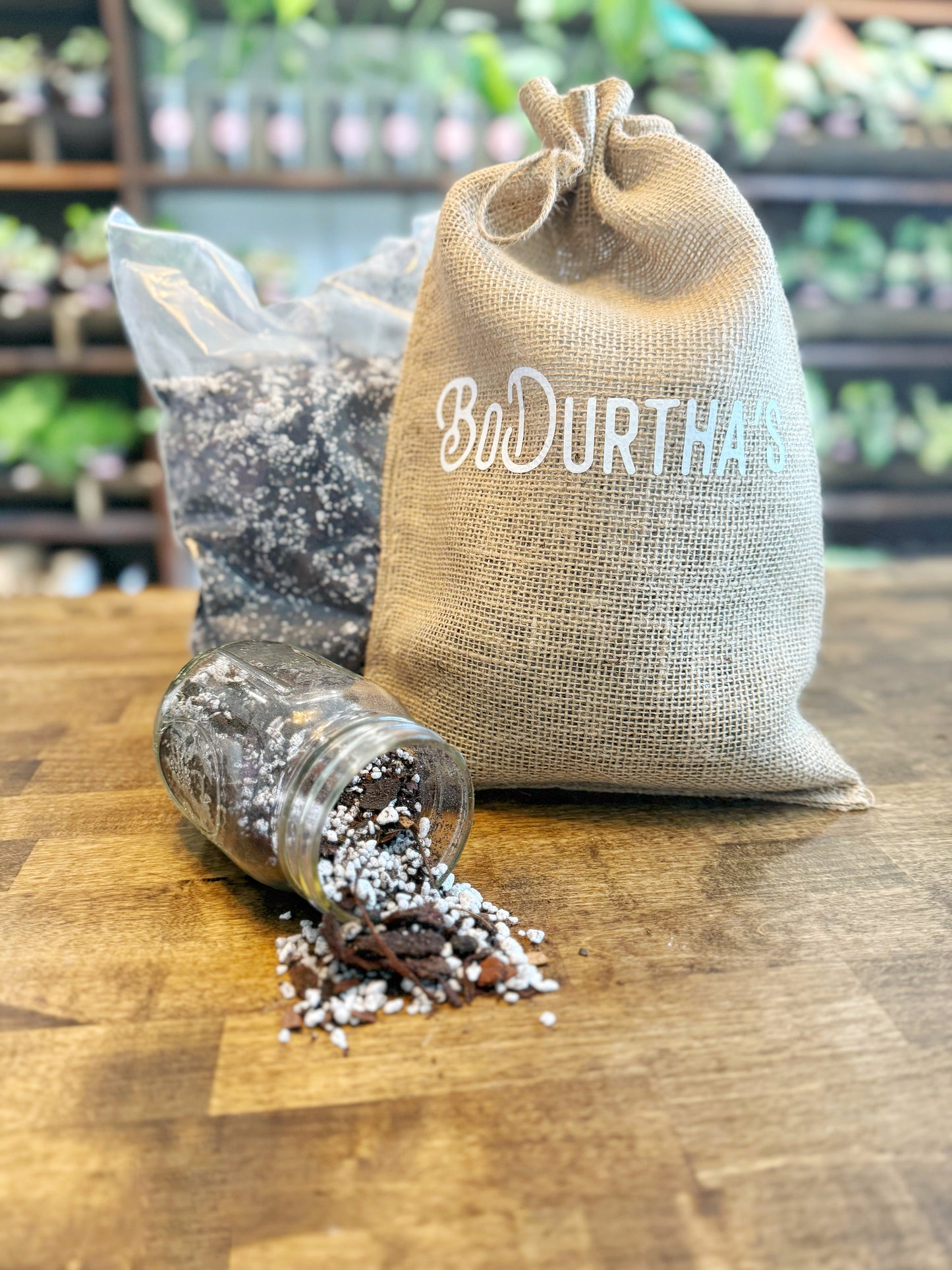 BoDurtha's Best - Aroid Mix