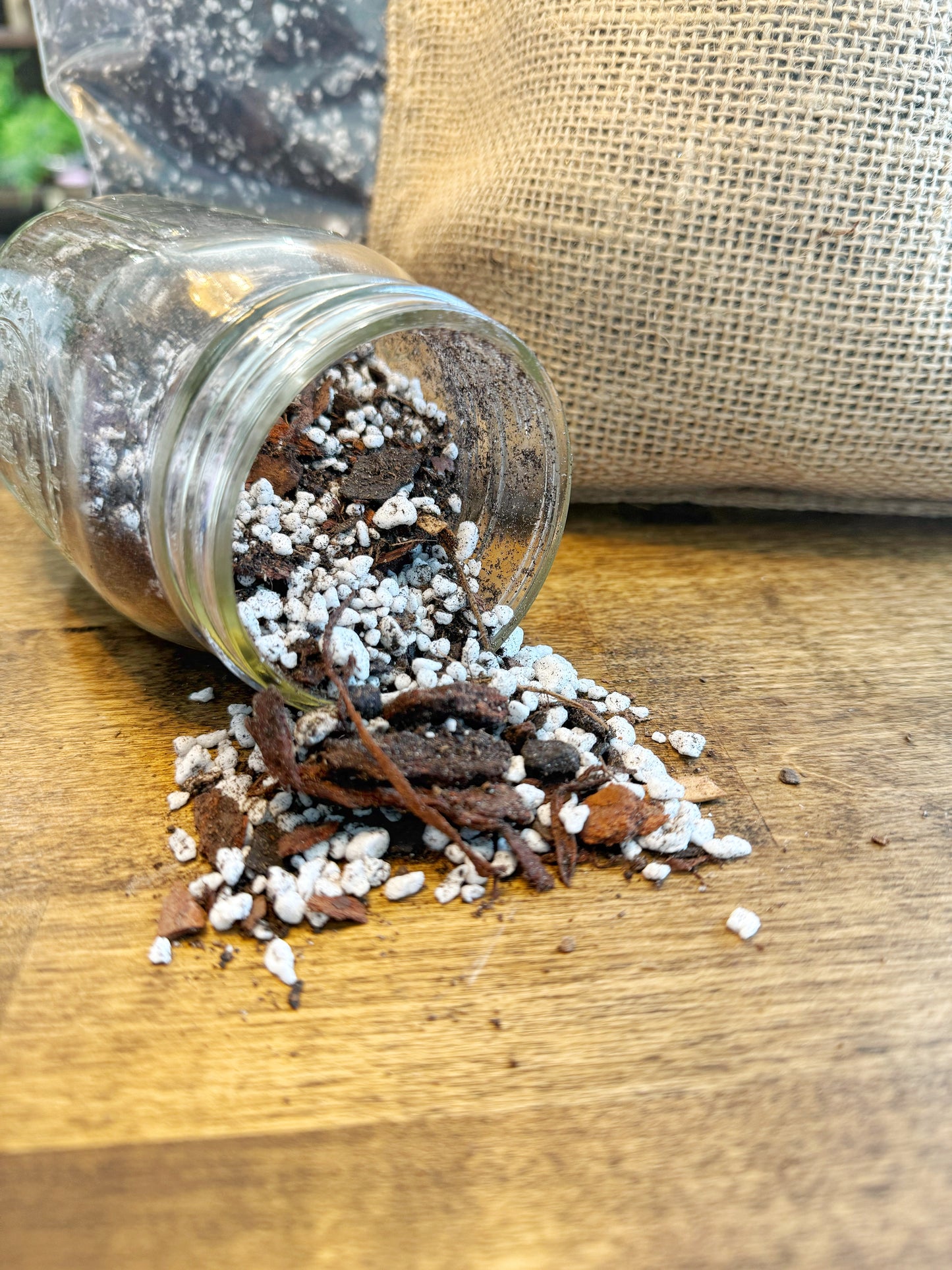 BoDurtha's Best - Aroid Mix