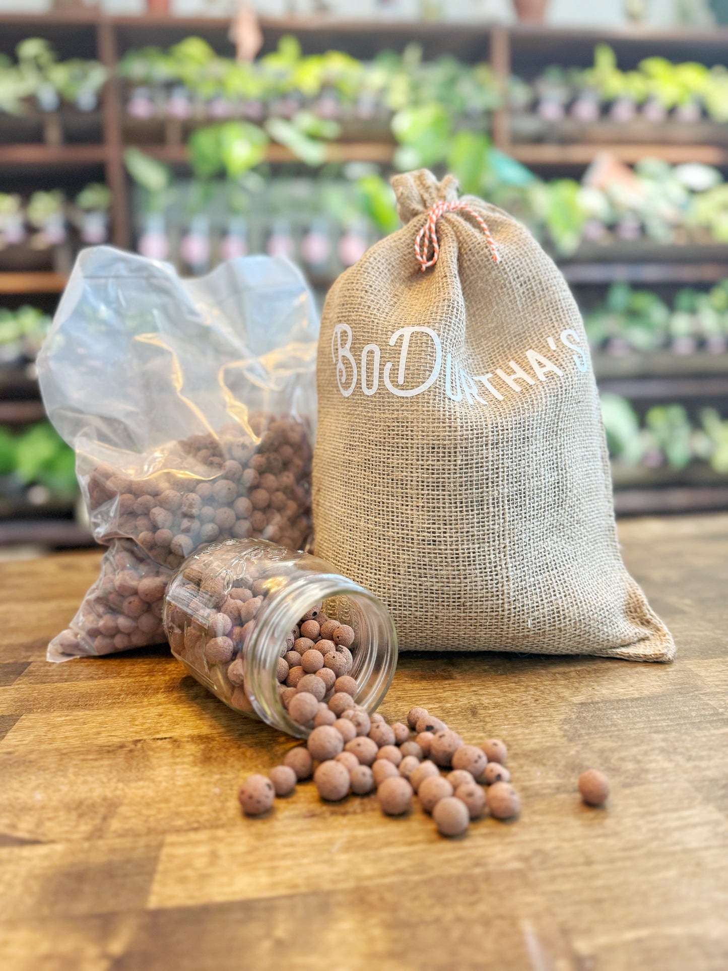 BoDurtha's Best - LECA