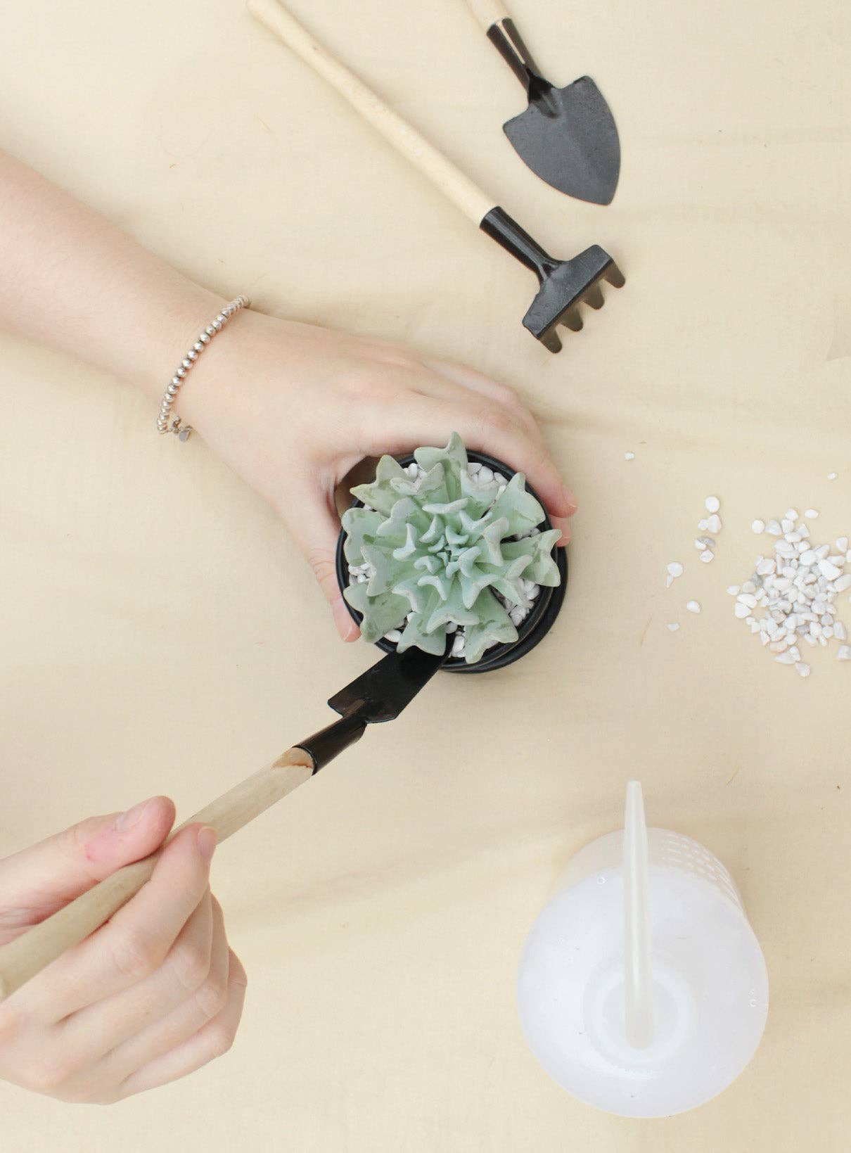 500ml Plastic Squeeze Watering Bottle for Succulent & Cactus: Pink