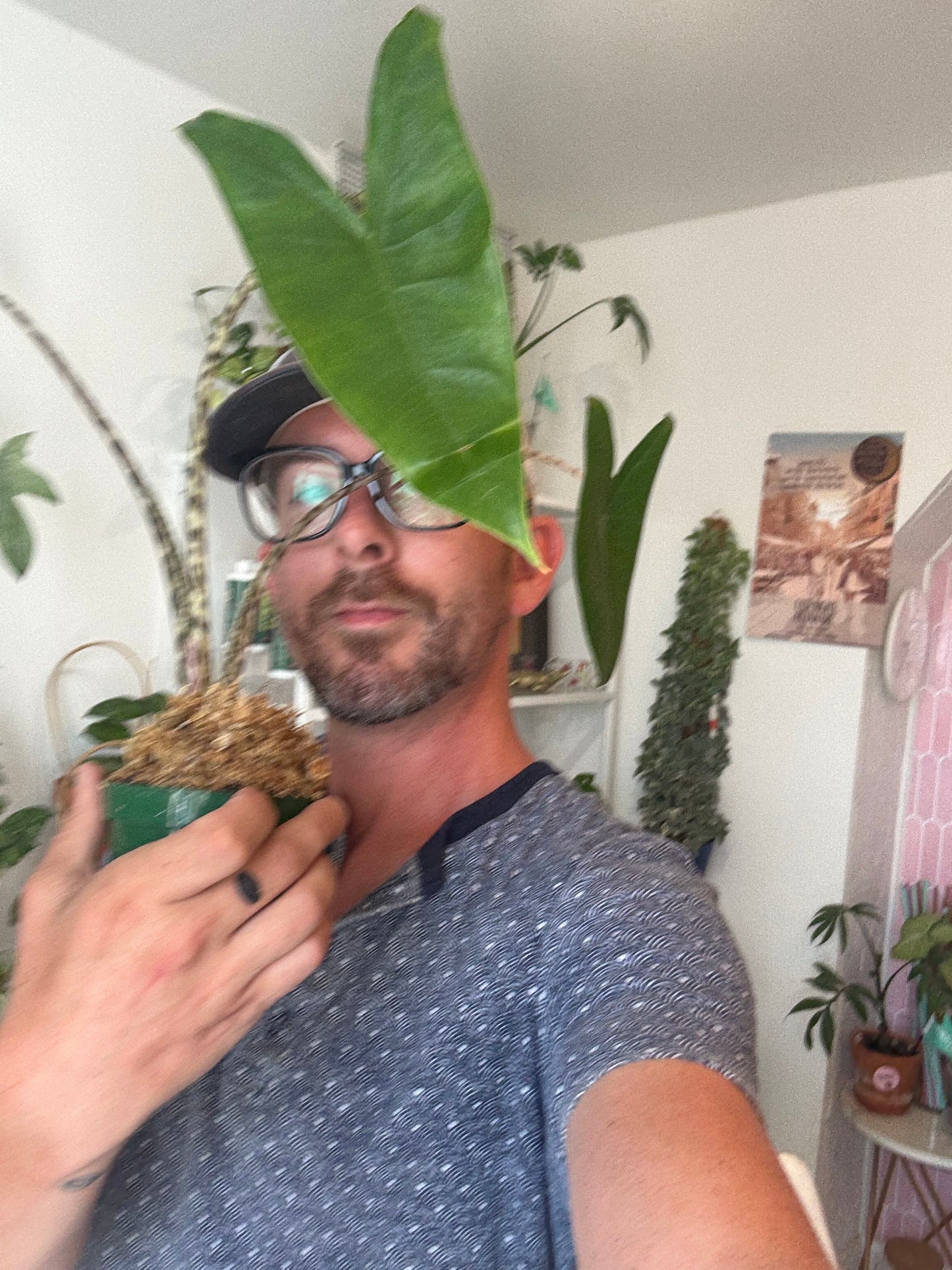 In-Home Consultation