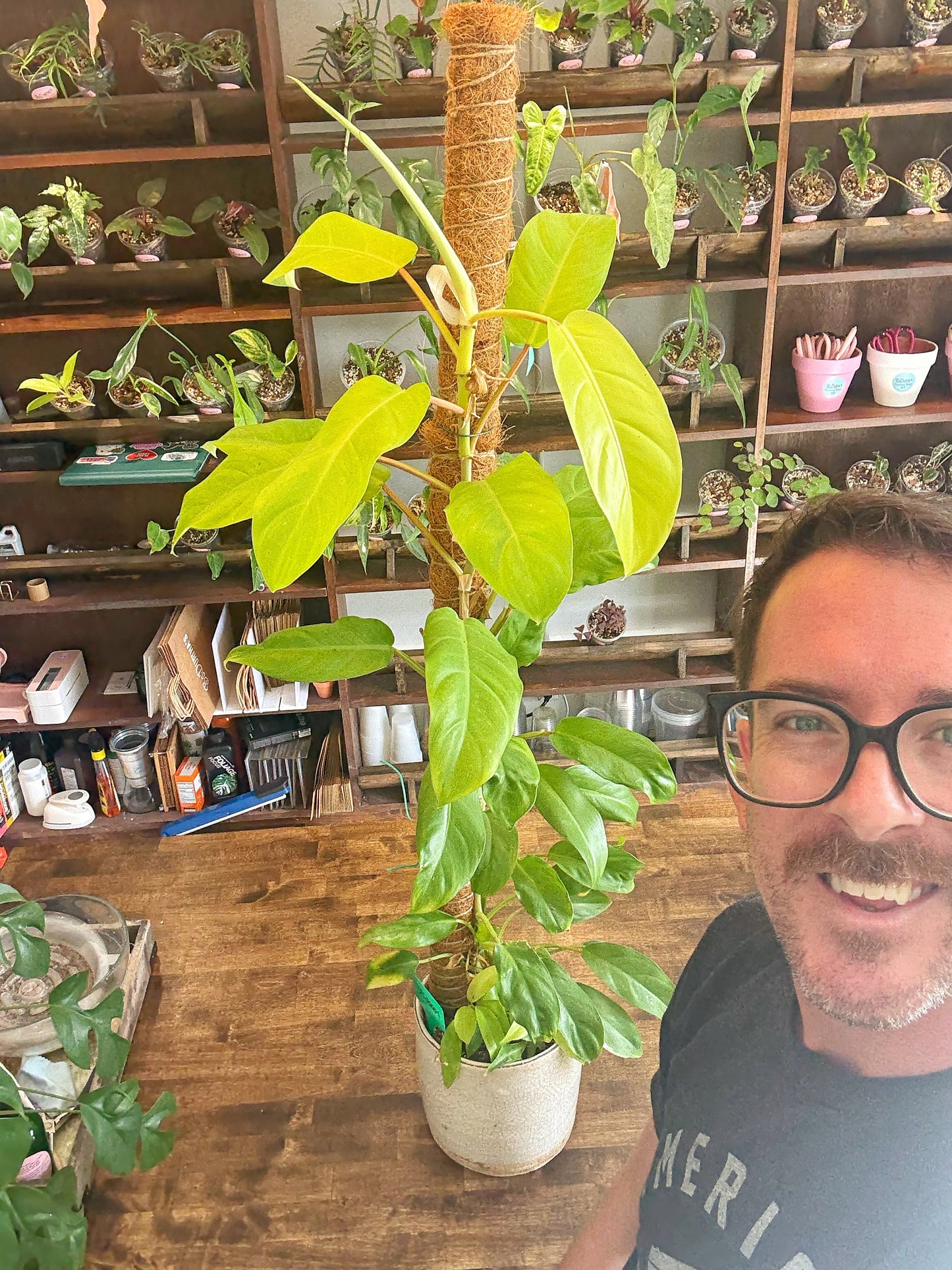 In-Home Consultation