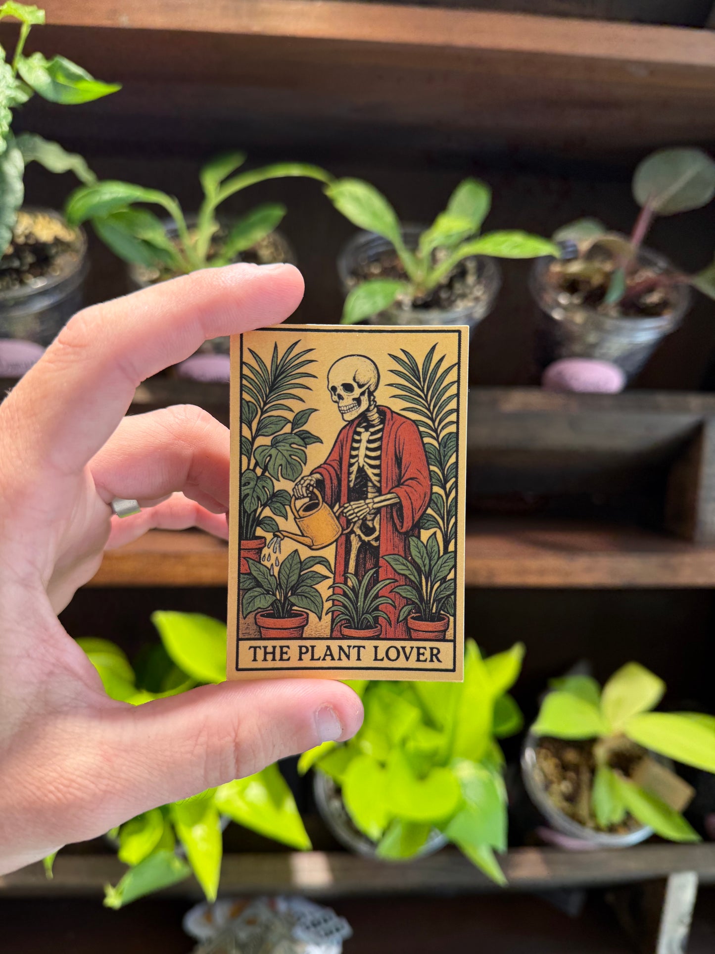"The Plant Lover" Tarot Sticker