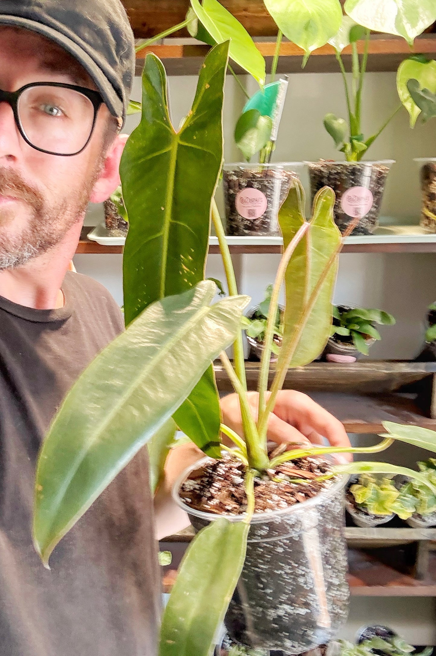 In-Home Consultation