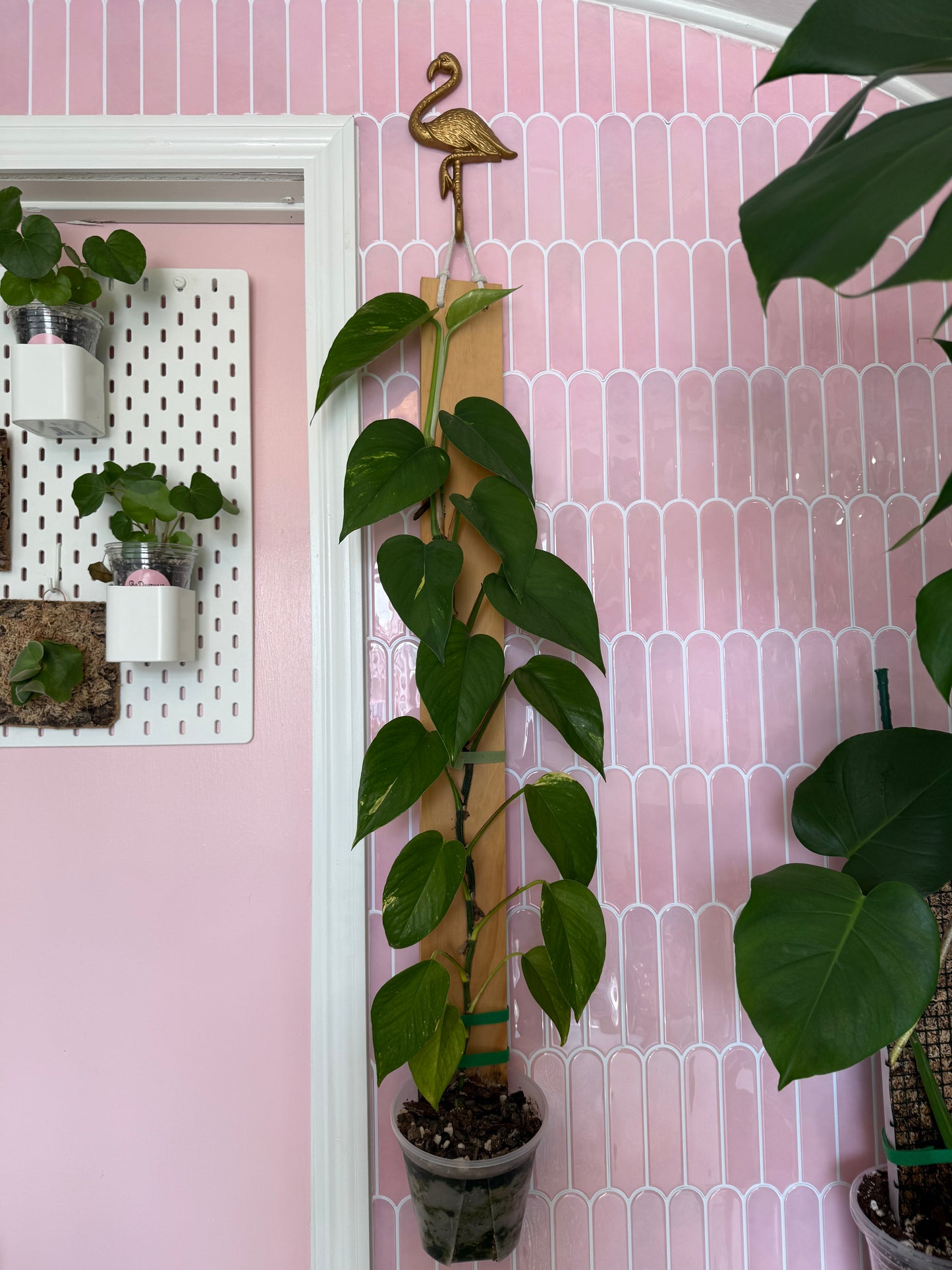 Hanging Wall Plank