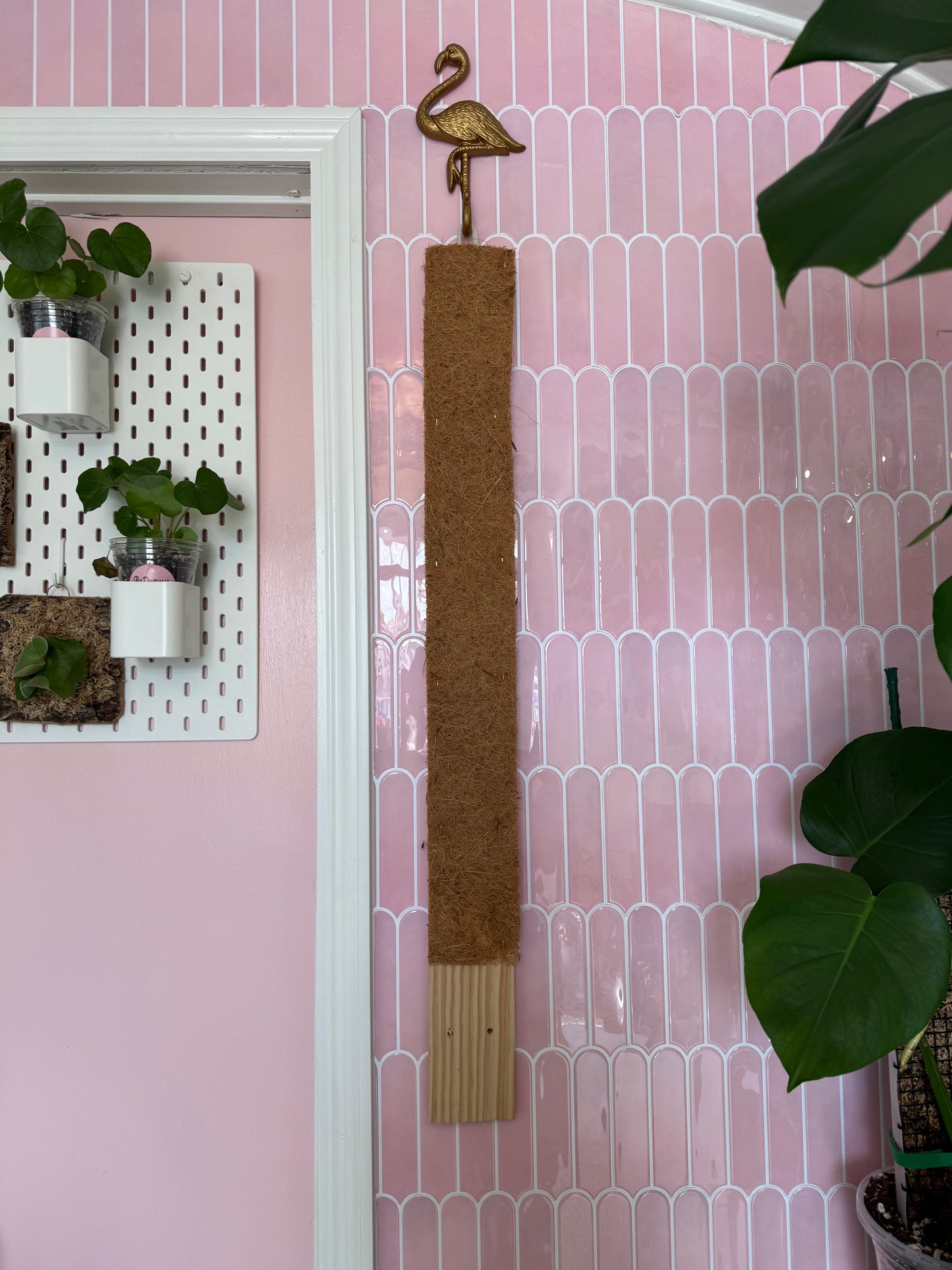 Hanging Coir Plank