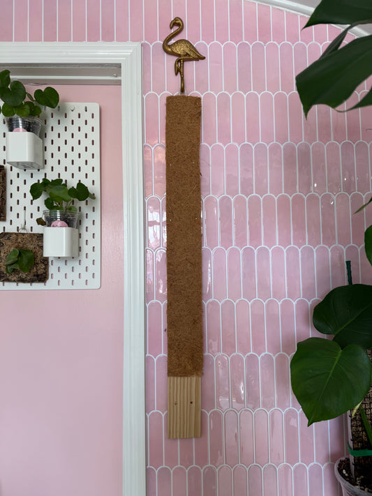 Hanging Coir Plank