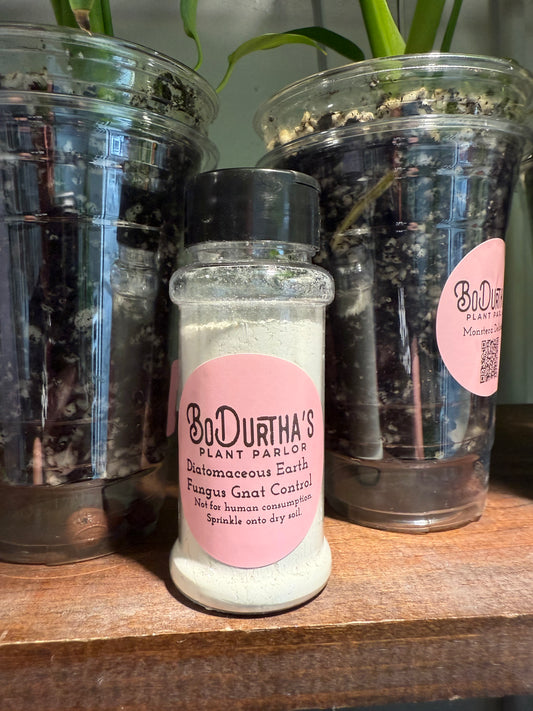 Diatomaceous Earth