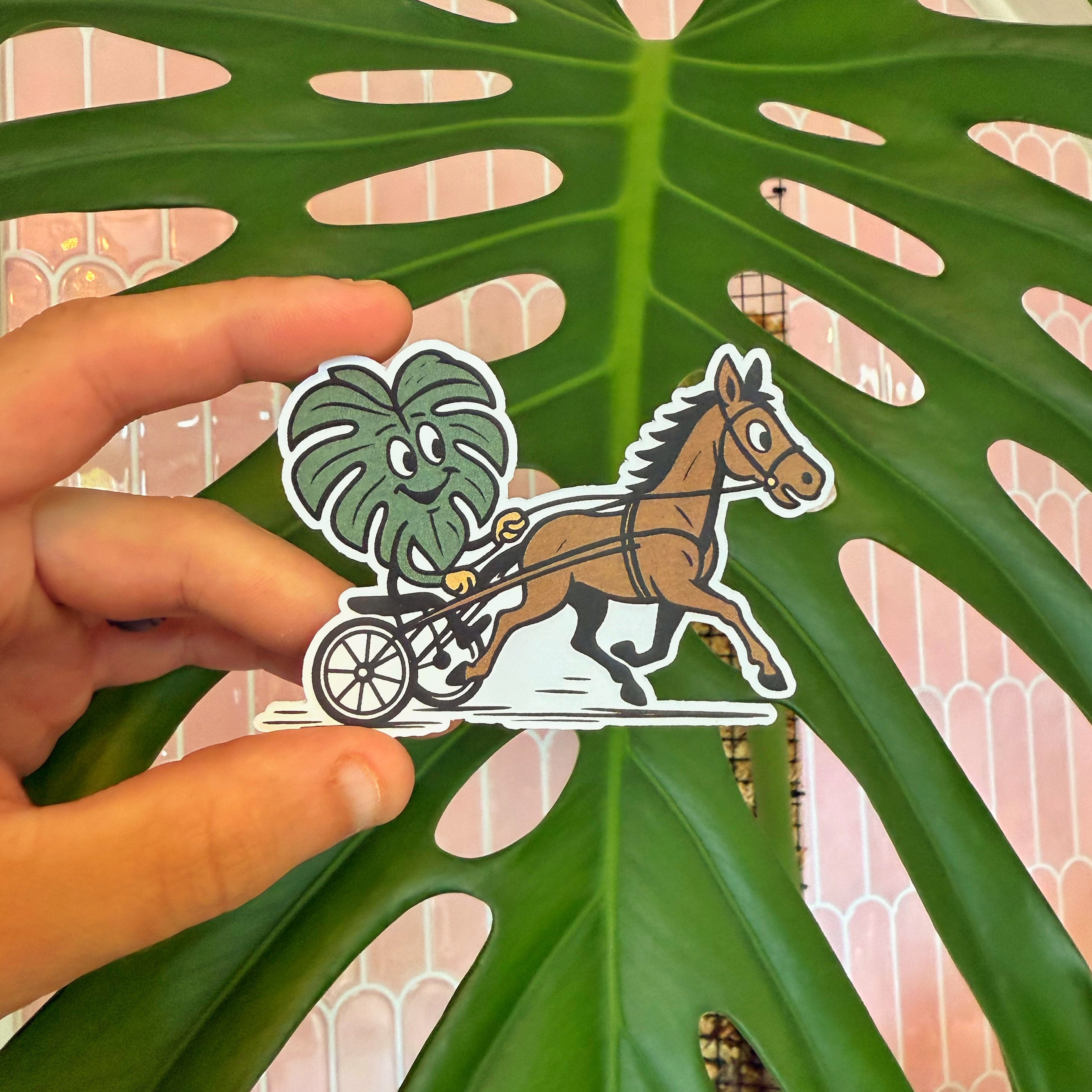 Jug Monstera Sticker – BoDurtha's Plant Parlor