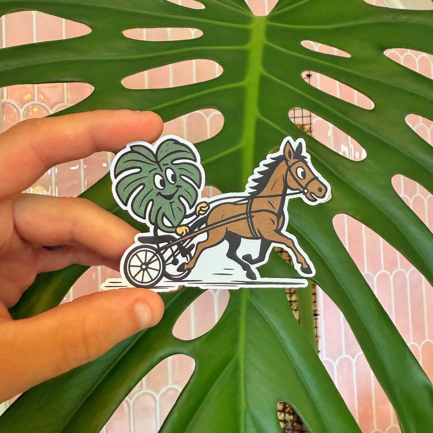Jug Monstera Sticker