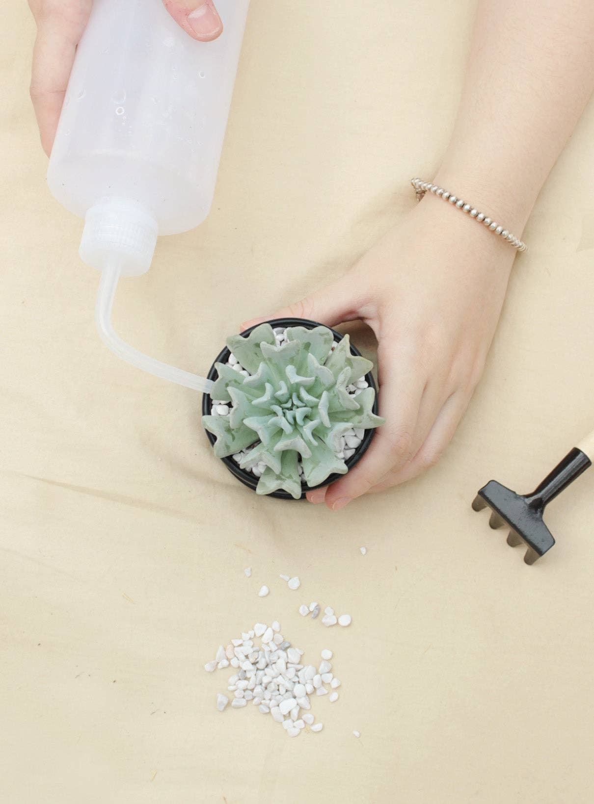 500ml Plastic Squeeze Watering Bottle for Succulent & Cactus: Pink